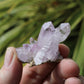 Vera Cruz Amethyst Natural Crystal Cluster