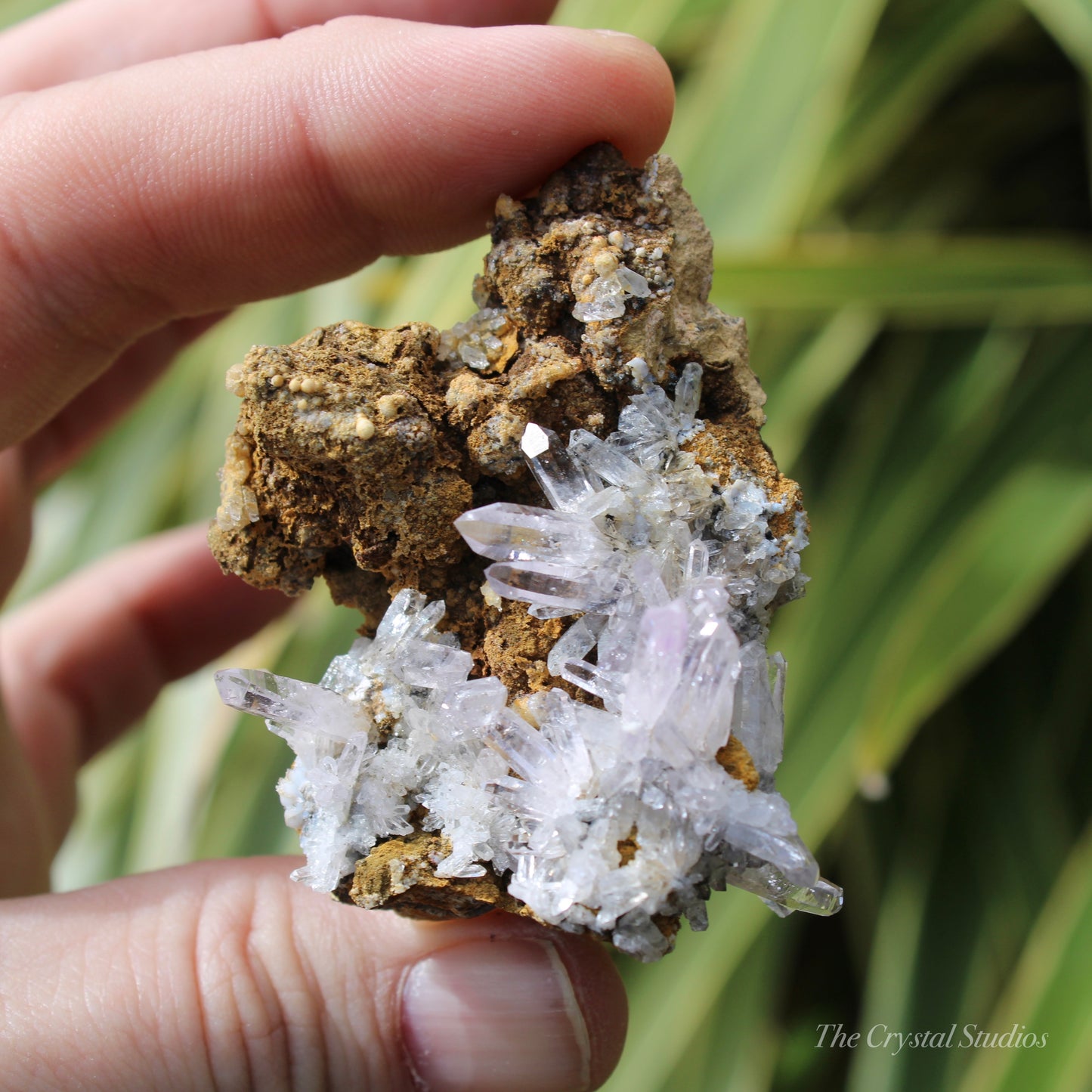 Vera Cruz Amethyst Natural Crystal Cluster