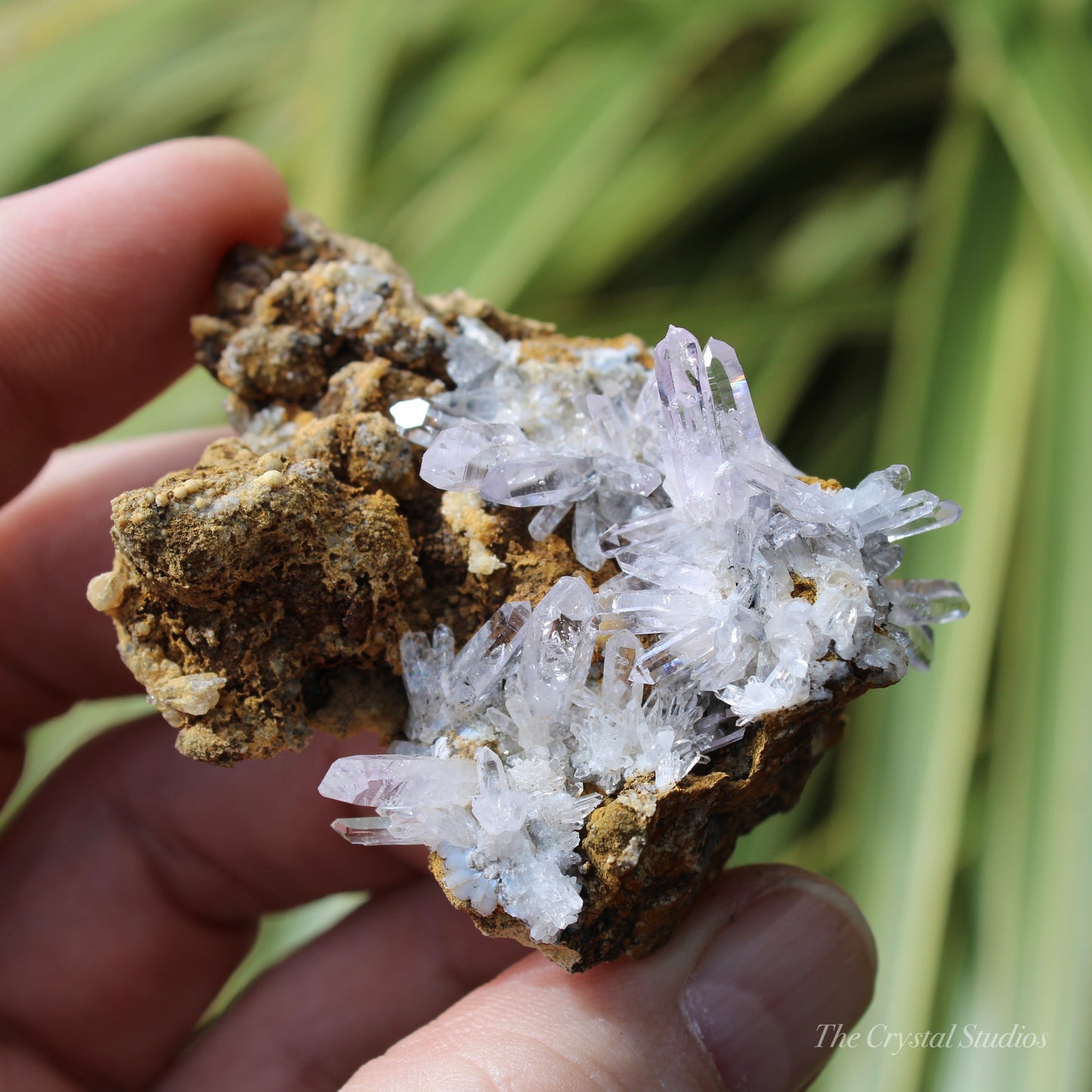 Vera Cruz Amethyst Natural Crystal Cluster