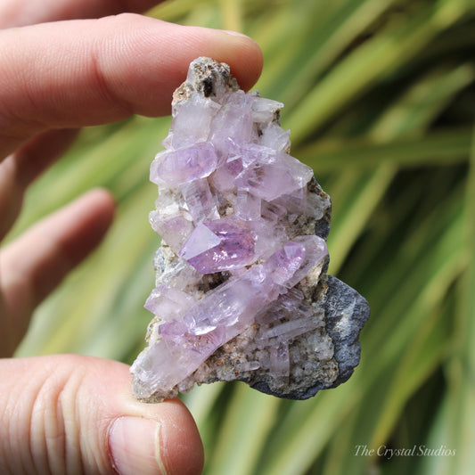 Vera Cruz Amethyst Natural Crystal Cluster