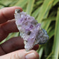 Vera Cruz Amethyst Natural Crystal Cluster