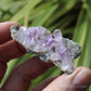 Vera Cruz Amethyst Natural Crystal Cluster