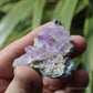 Vera Cruz Amethyst Natural Crystal Cluster