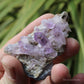 Vera Cruz Amethyst Natural Crystal Cluster