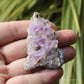 Vera Cruz Amethyst Natural Crystal Cluster