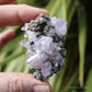 Vera Cruz Amethyst Natural Crystal Cluster