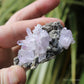 Vera Cruz Amethyst Natural Crystal Cluster