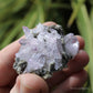 Vera Cruz Amethyst Natural Crystal Cluster