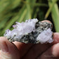 Vera Cruz Amethyst Natural Crystal Cluster