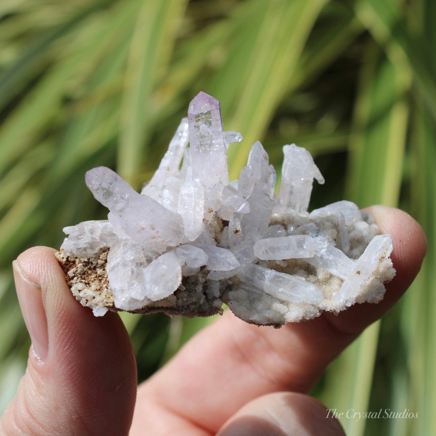 Vera Cruz Amethyst Natural Crystal Cluster