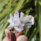 Vera Cruz Amethyst Natural Crystal Cluster