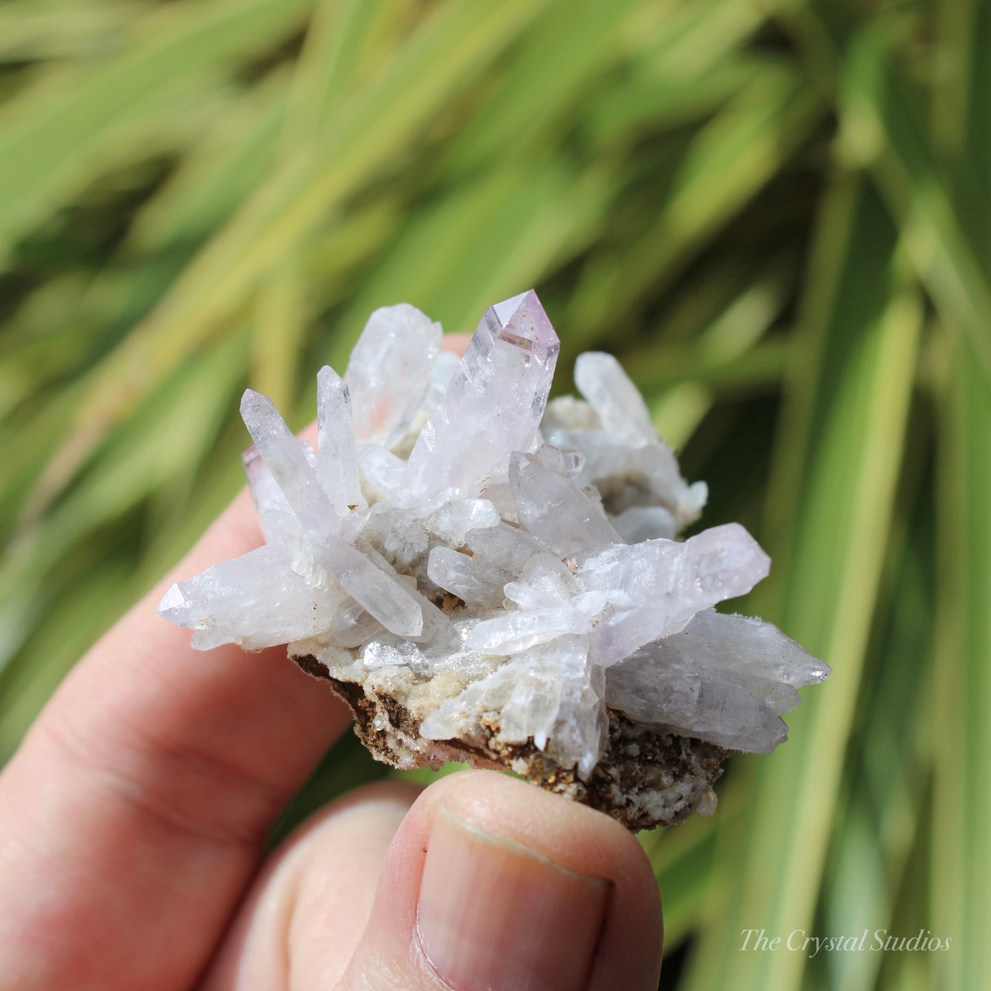 Vera Cruz Amethyst Natural Crystal Cluster