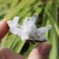 Vera Cruz Amethyst Natural Crystal Cluster