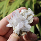 Vera Cruz Amethyst Natural Crystal Cluster