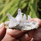 Vera Cruz Amethyst Natural Crystal Cluster