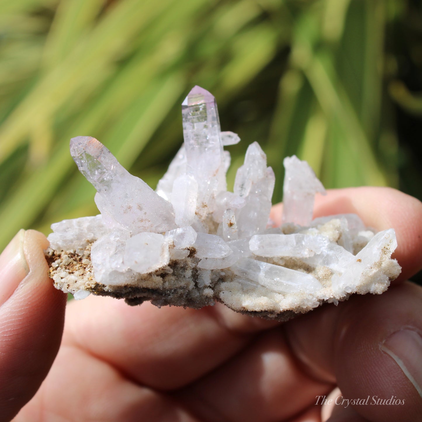 Vera Cruz Amethyst Natural Crystal Cluster