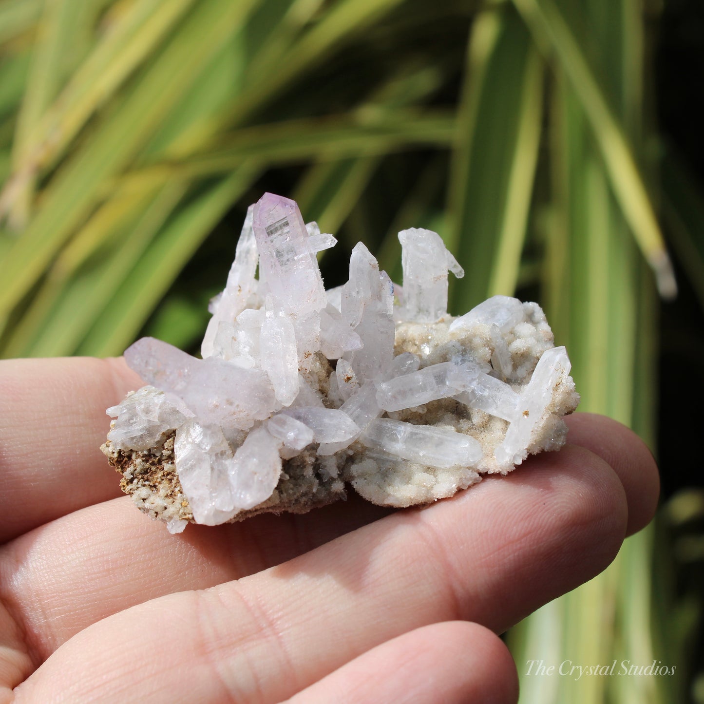 Vera Cruz Amethyst Natural Crystal Cluster