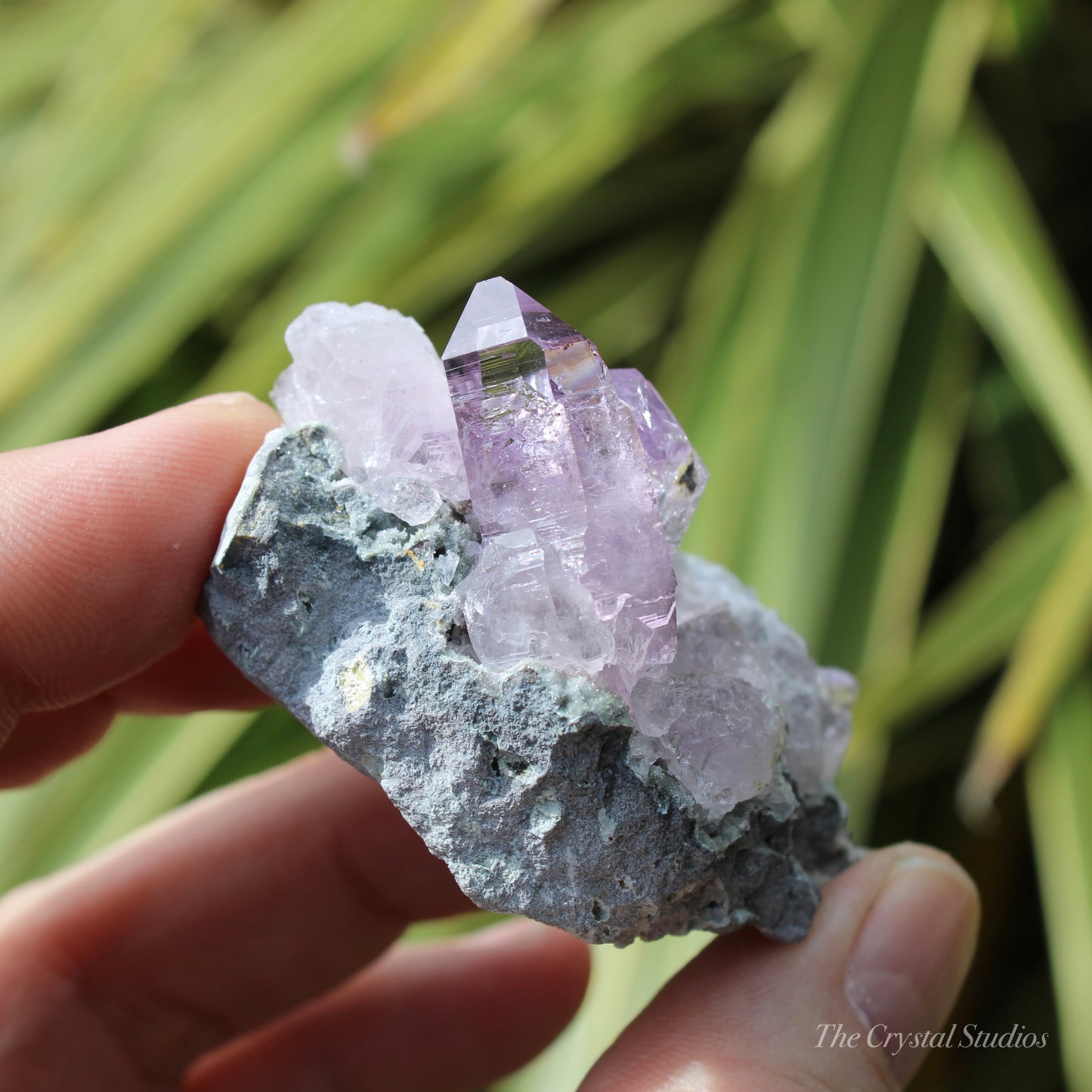 Vera Cruz Amethyst Natural Crystal Cluster