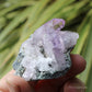 Vera Cruz Amethyst Natural Crystal Cluster