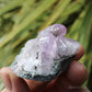 Vera Cruz Amethyst Natural Crystal Cluster