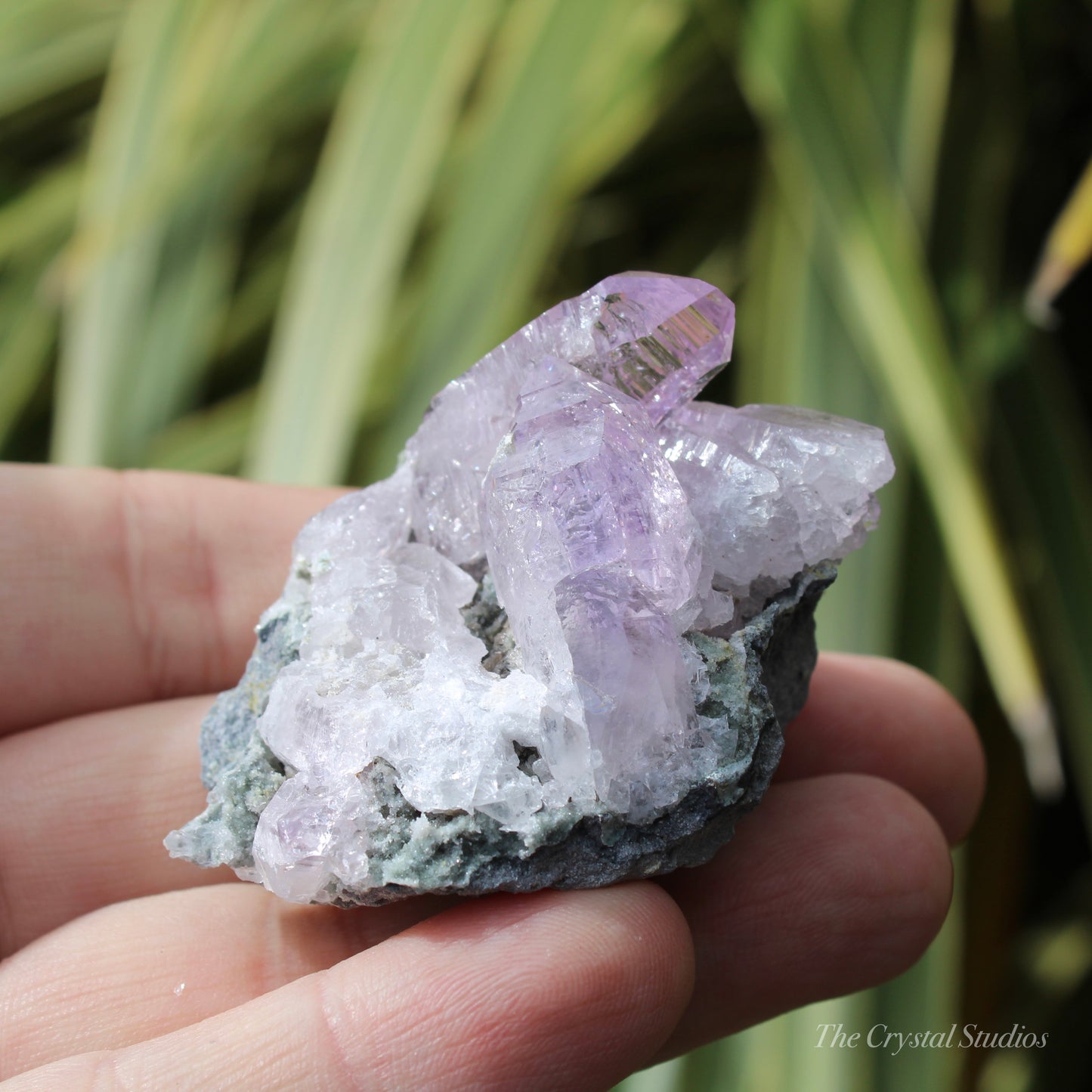 Vera Cruz Amethyst Natural Crystal Cluster