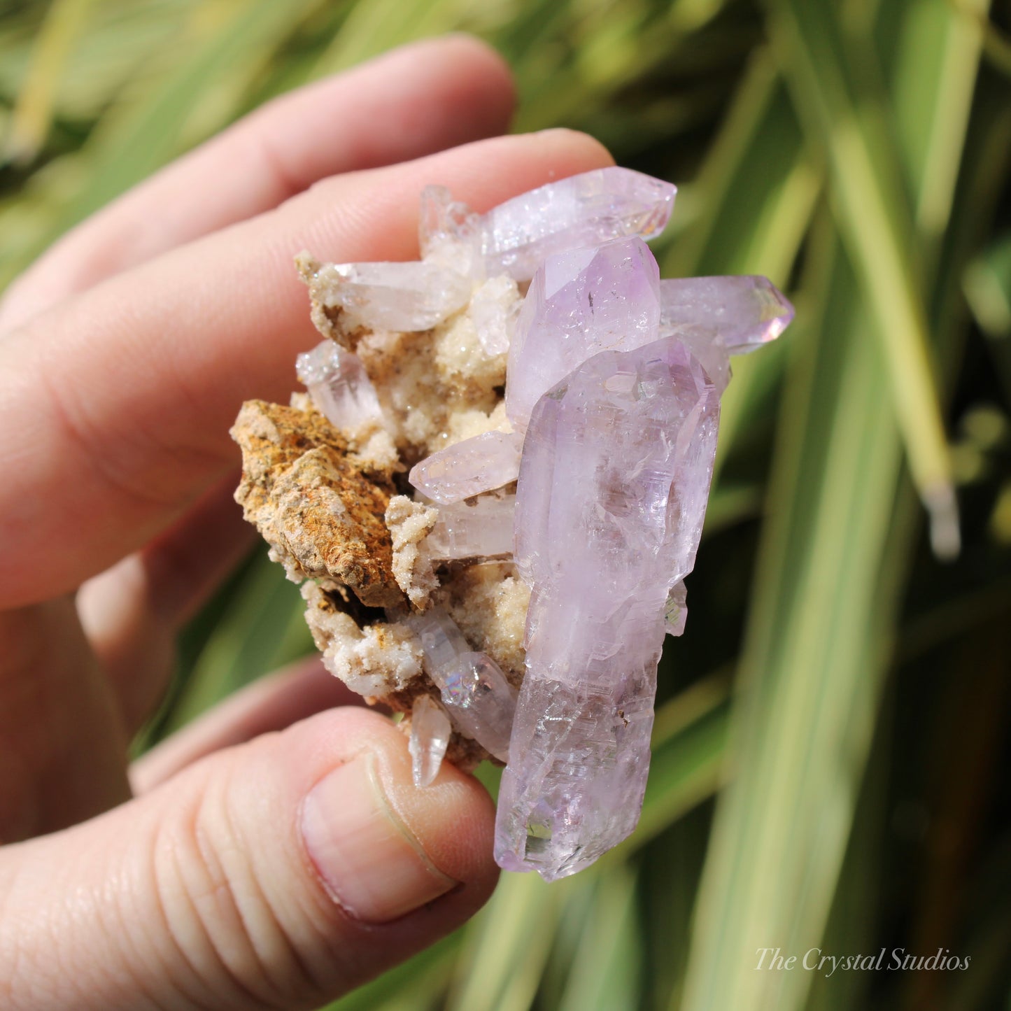 Vera Cruz Amethyst Natural Crystal Cluster