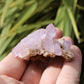 Vera Cruz Amethyst Natural Crystal Cluster