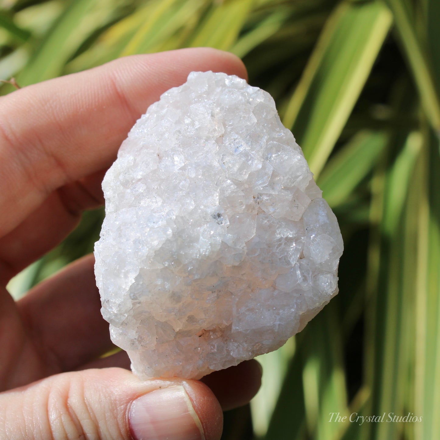 Pale Pink Apophyllite Natural Crystal Cluster