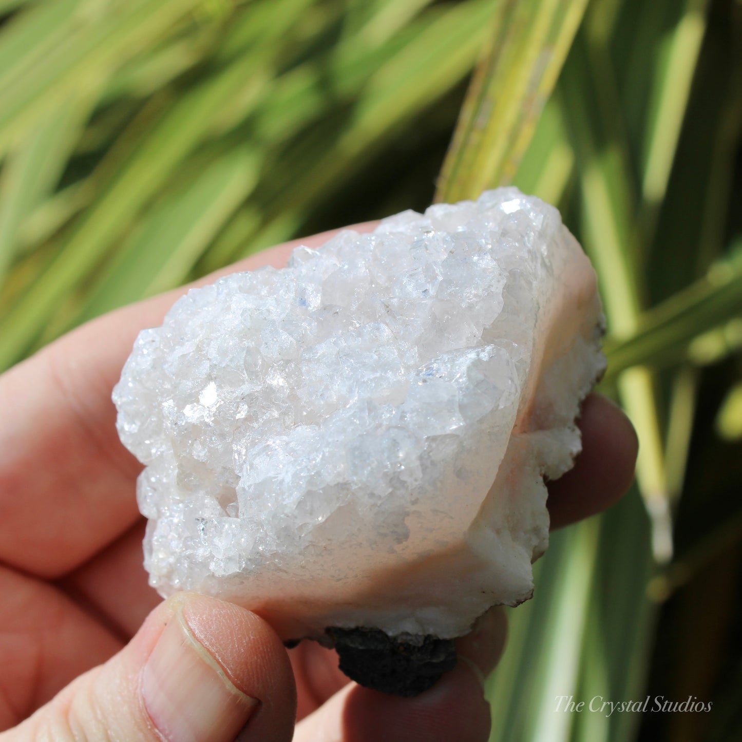 Pale Pink Apophyllite Natural Crystal Cluster