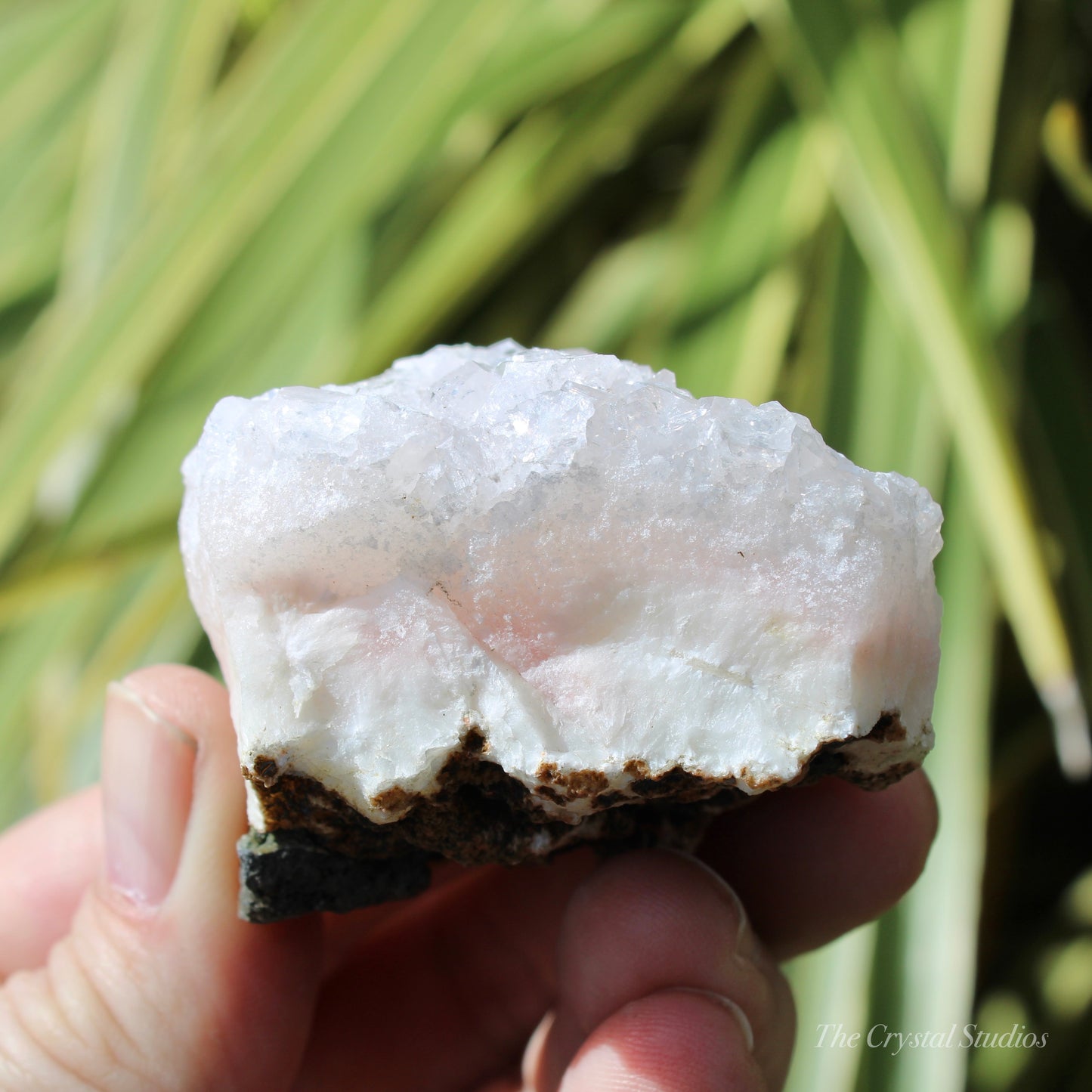 Pale Pink Apophyllite Natural Crystal Cluster