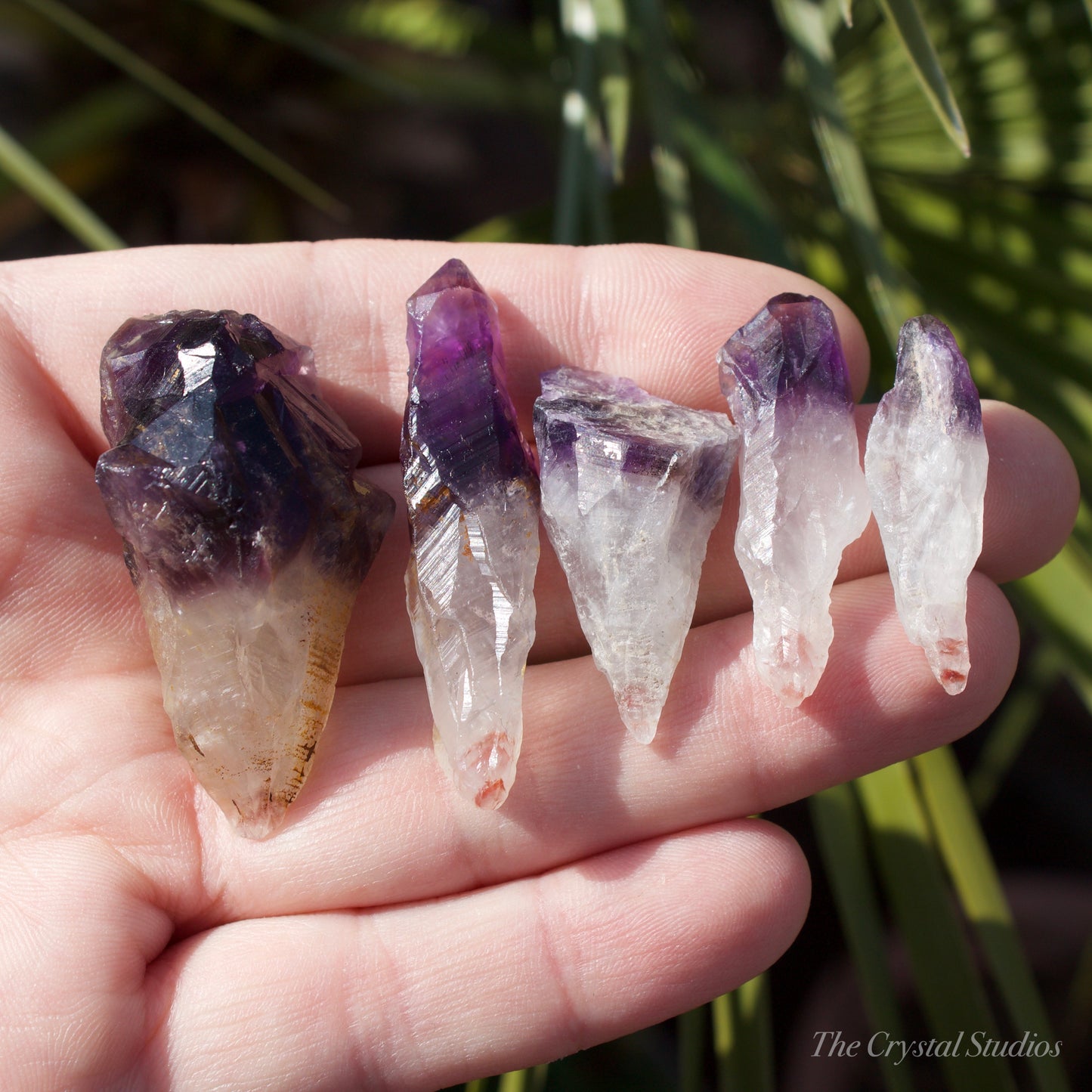 Auralite-23 Natural Crystal Point Set