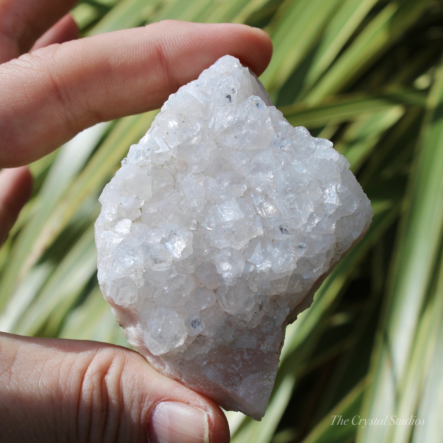 Pale Pink Apophyllite Natural Crystal Cluster