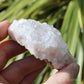 Pale Pink Apophyllite Natural Crystal Cluster