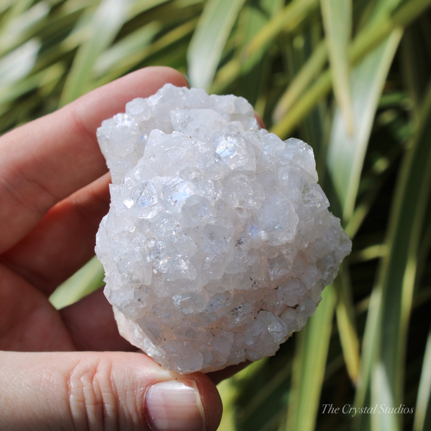 Pale Pink Apophyllite Natural Crystal Cluster