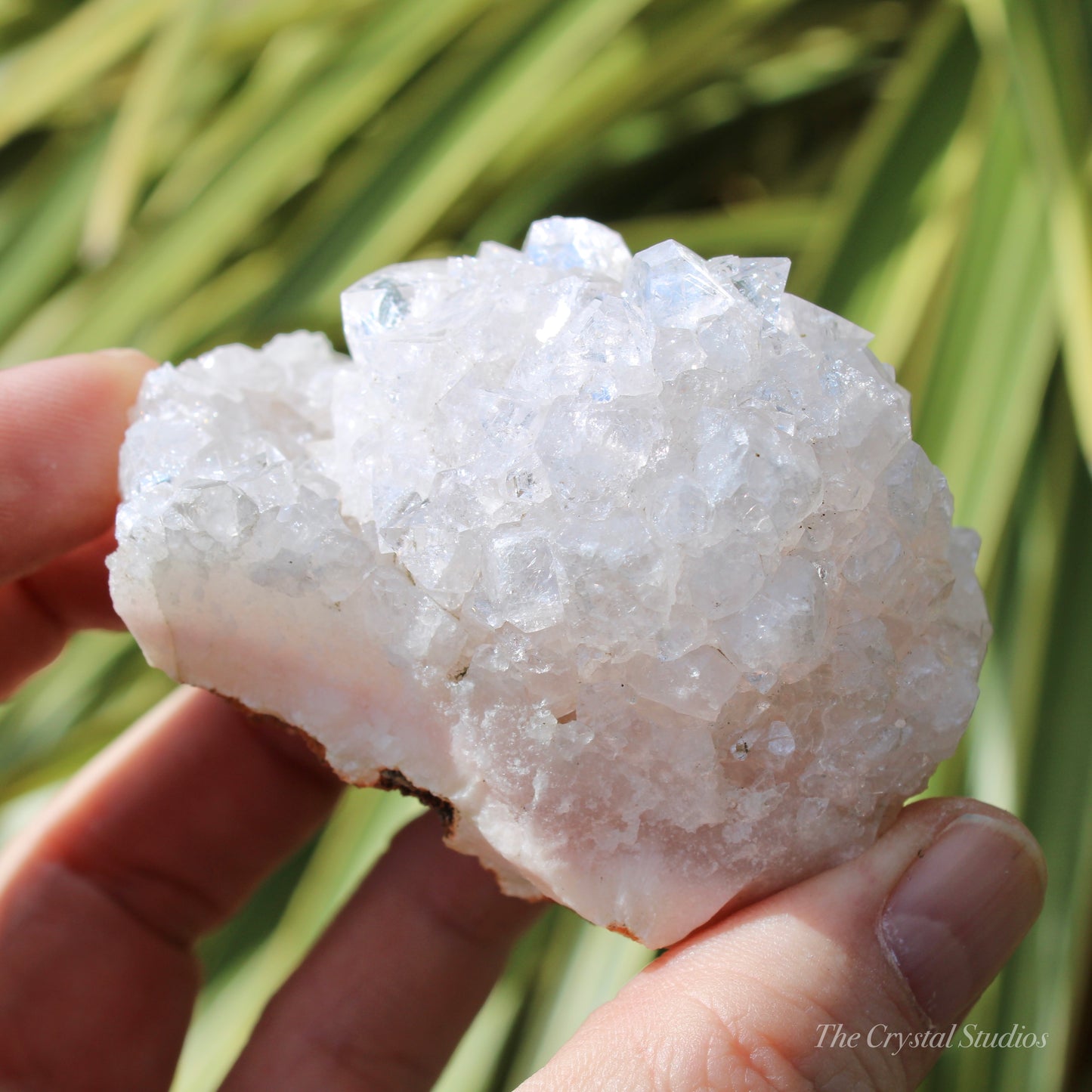 Pale Pink Apophyllite Natural Crystal Cluster