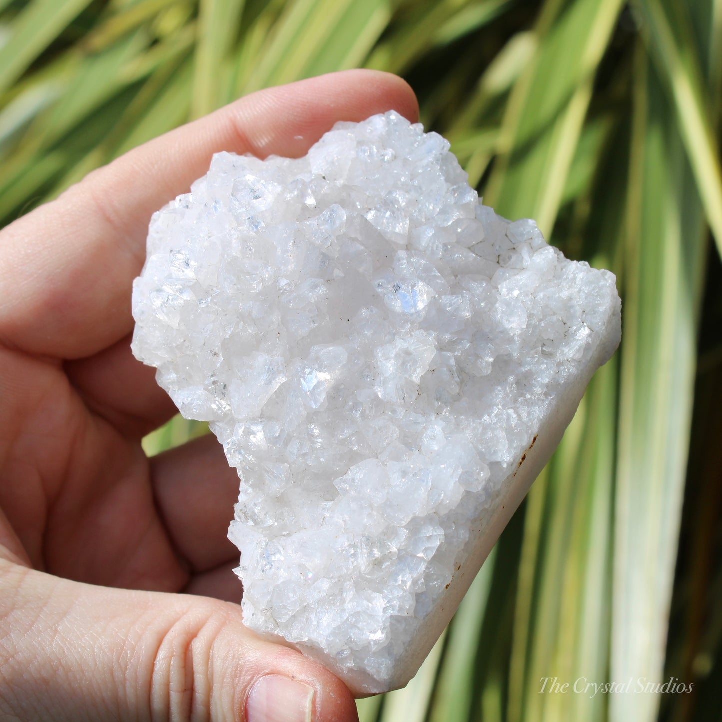 Pale Pink Apophyllite Natural Crystal Cluster