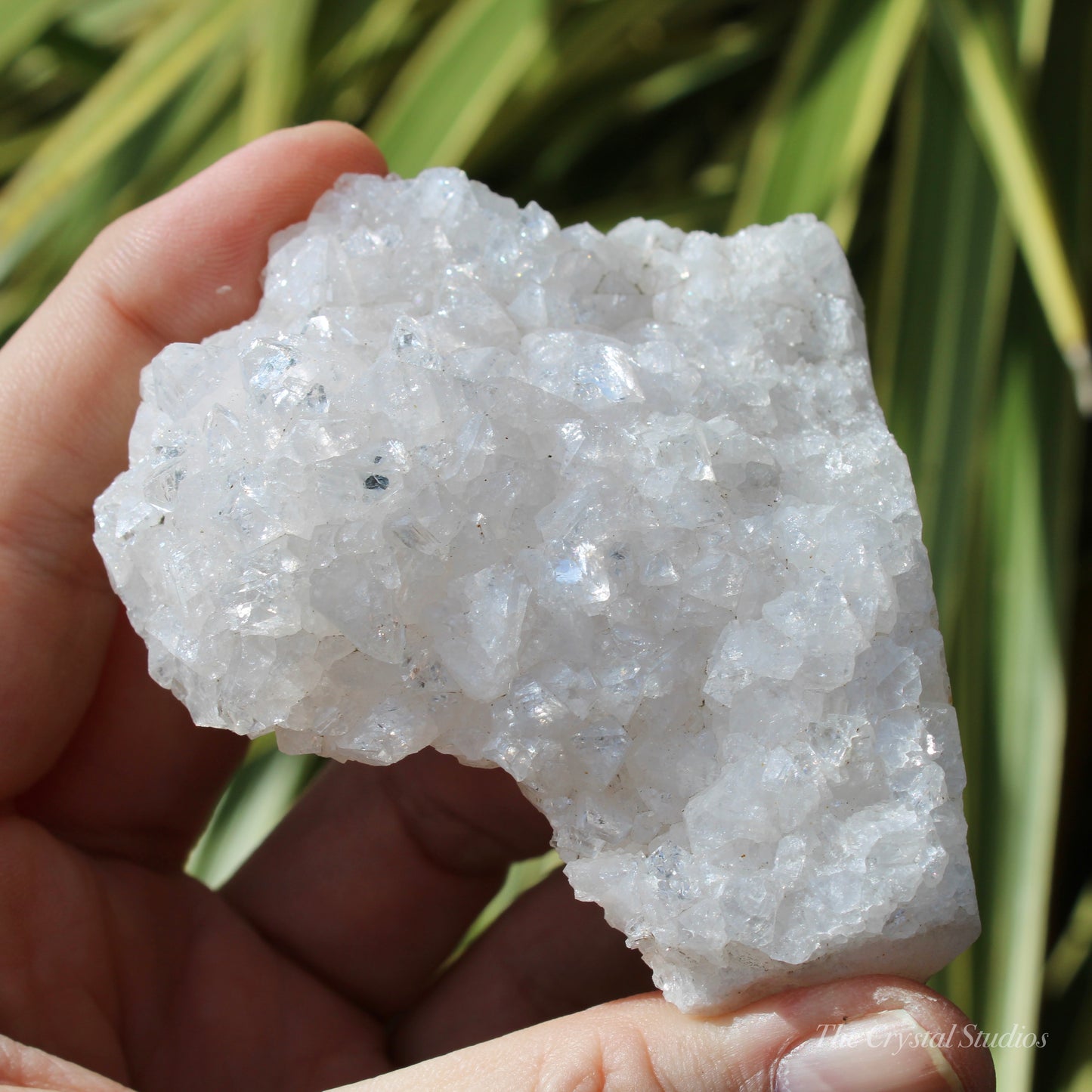 Pale Pink Apophyllite Natural Crystal Cluster