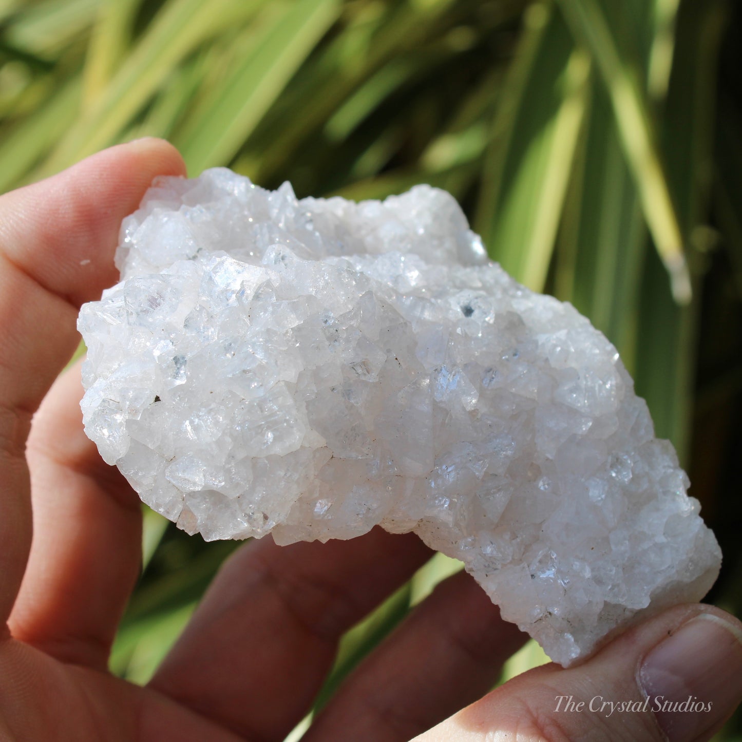 Pale Pink Apophyllite Natural Crystal Cluster