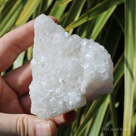 Pale Pink Apophyllite Natural Crystal Cluster