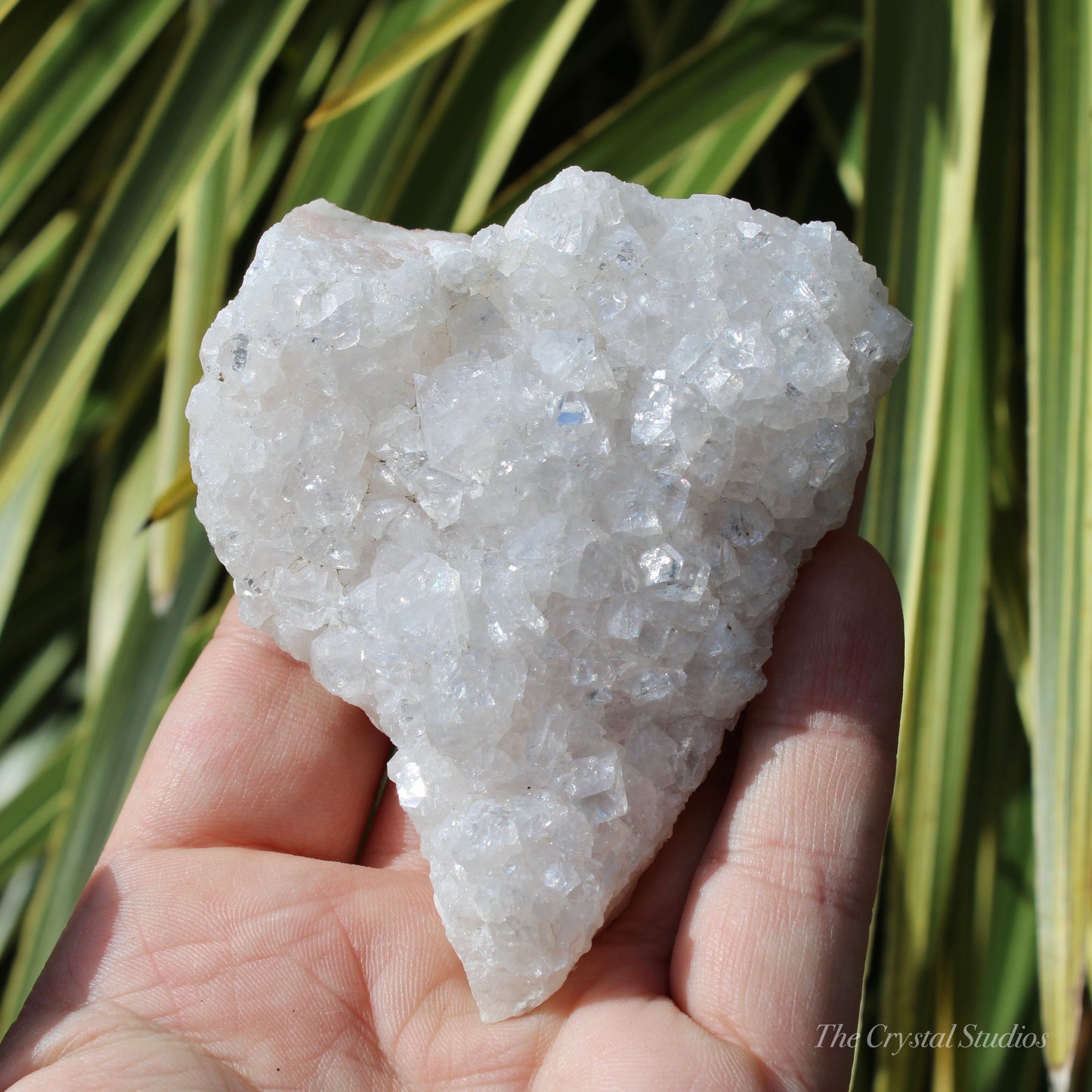 Pale Pink Apophyllite Natural Crystal Cluster