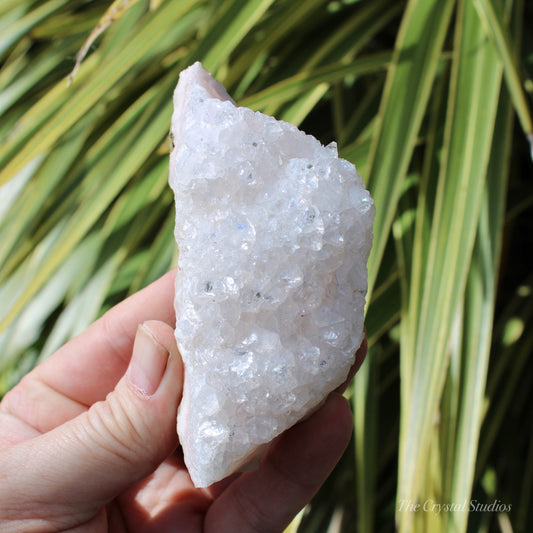 Pale Pink Apophyllite Natural Crystal Cluster