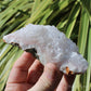 Pale Pink Apophyllite Natural Crystal Cluster