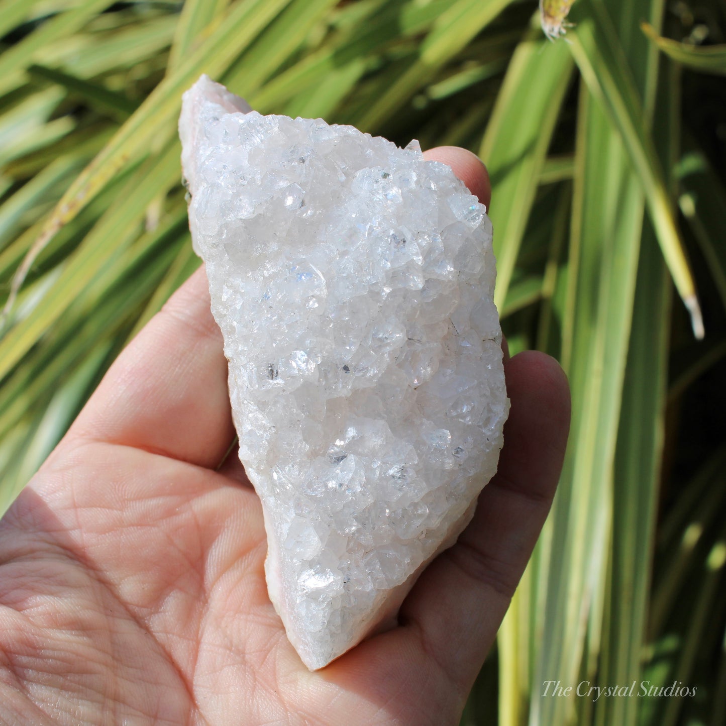 Pale Pink Apophyllite Natural Crystal Cluster