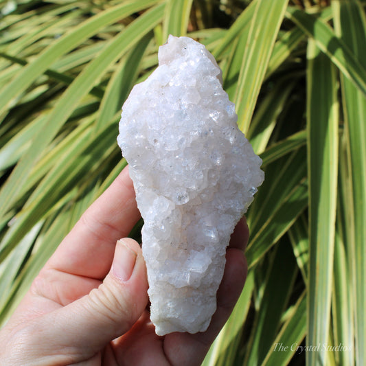 Pale Pink Apophyllite Natural Crystal Cluster