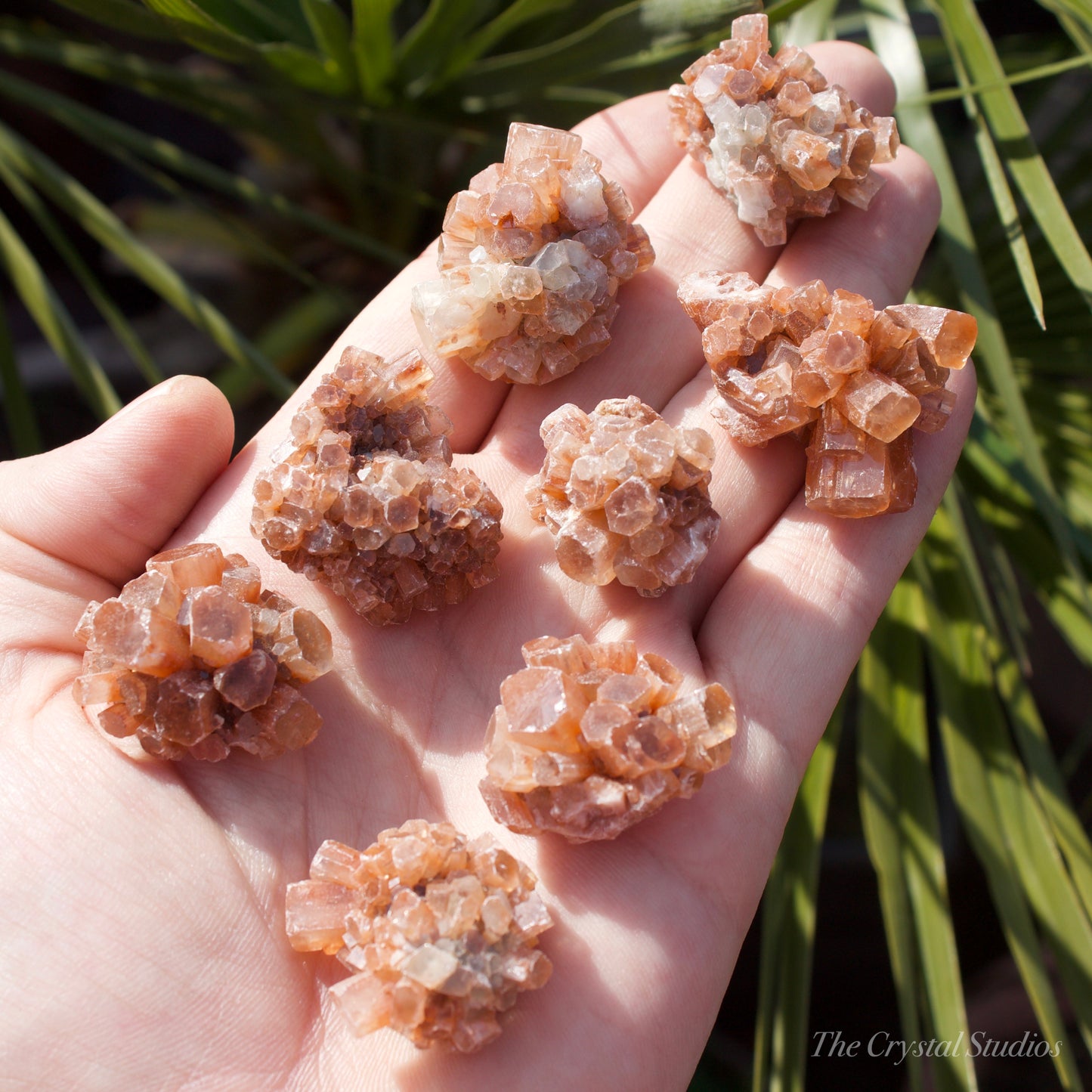 Aragonite Sputnik Natural Crystals