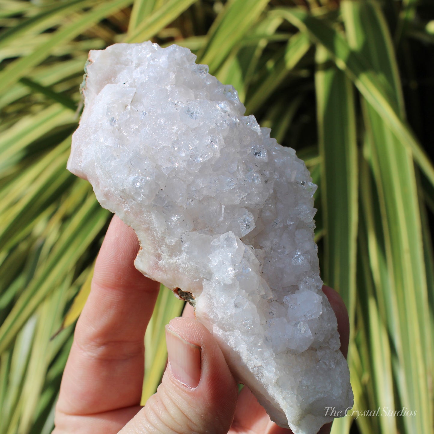 Pale Pink Apophyllite Natural Crystal Cluster