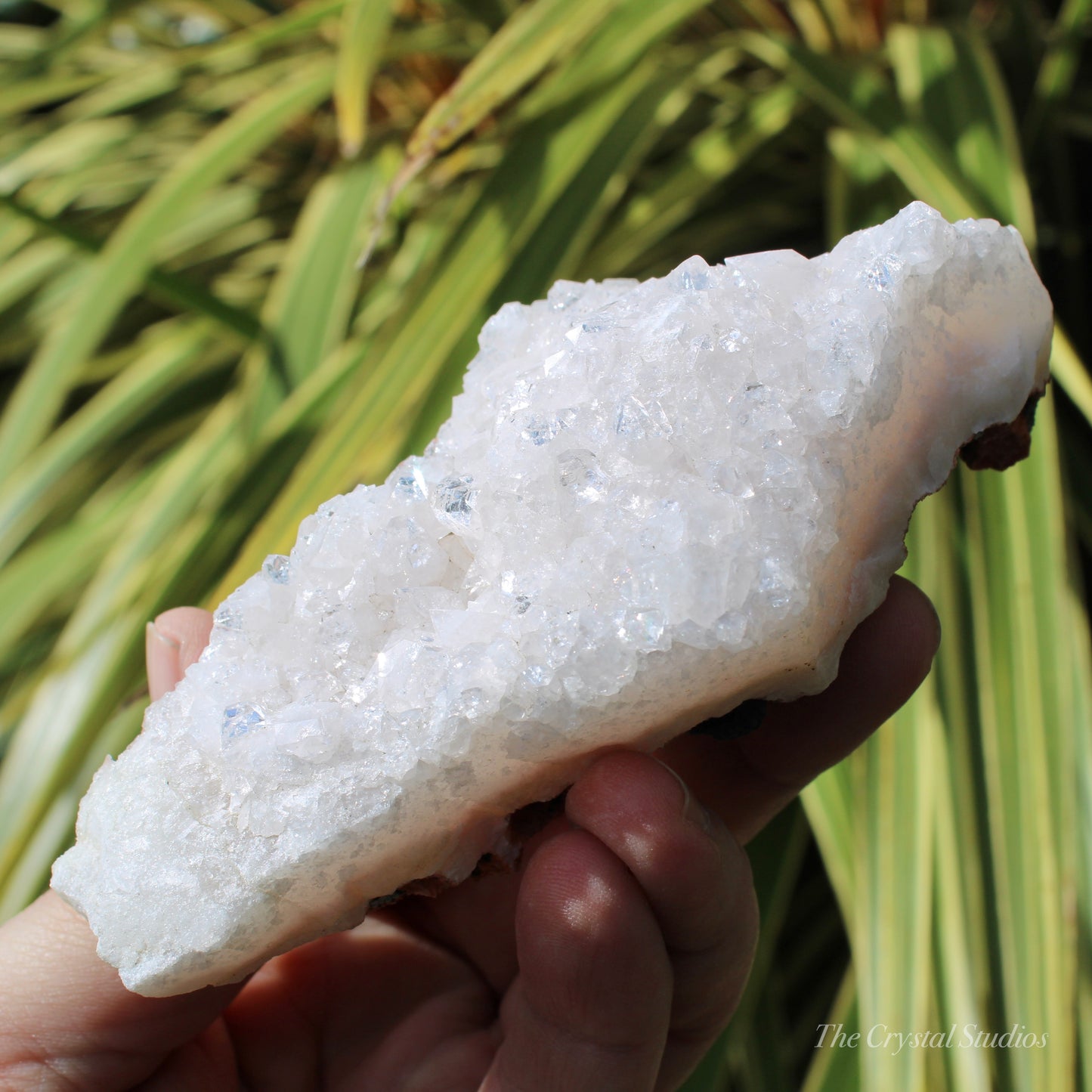 Pale Pink Apophyllite Natural Crystal Cluster