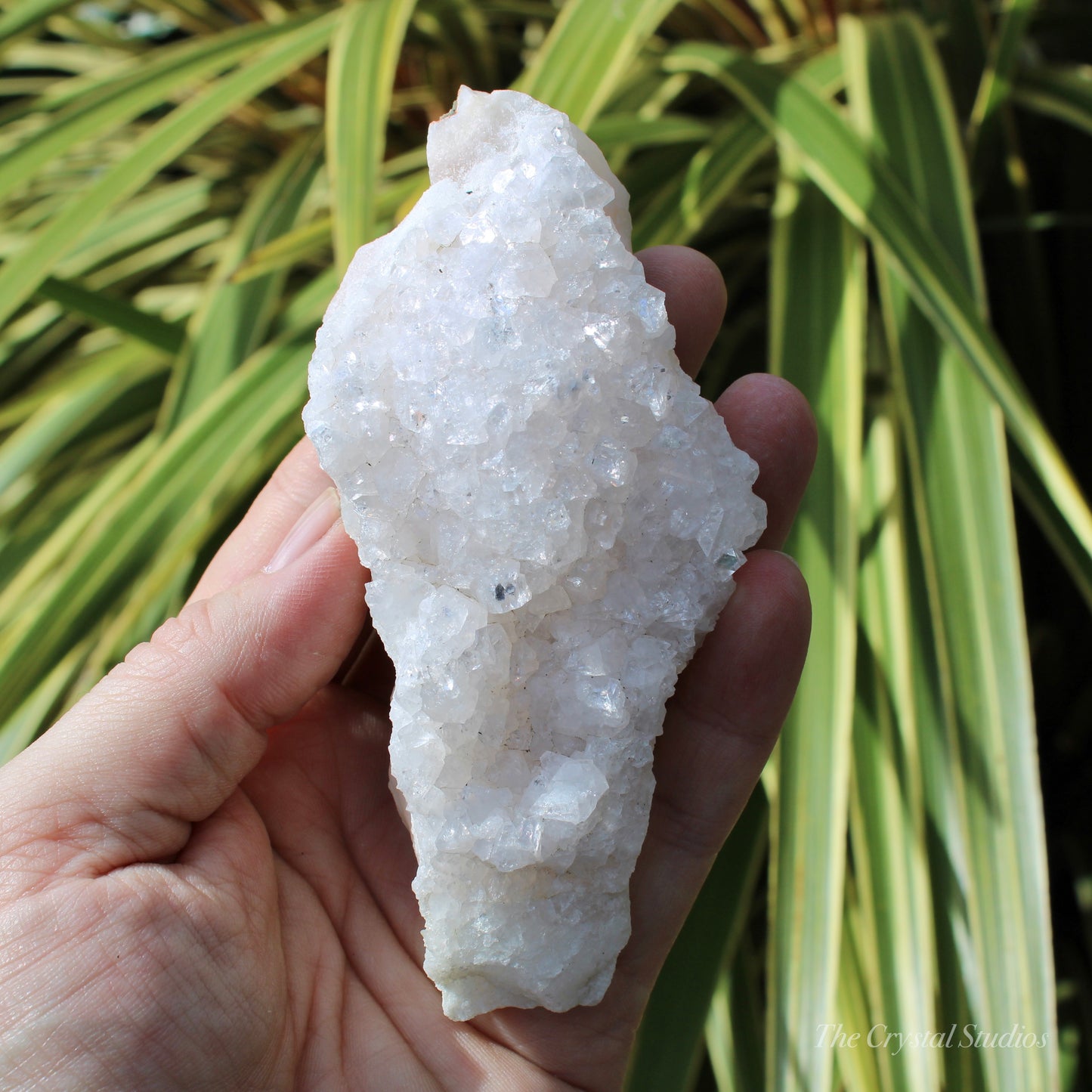 Pale Pink Apophyllite Natural Crystal Cluster