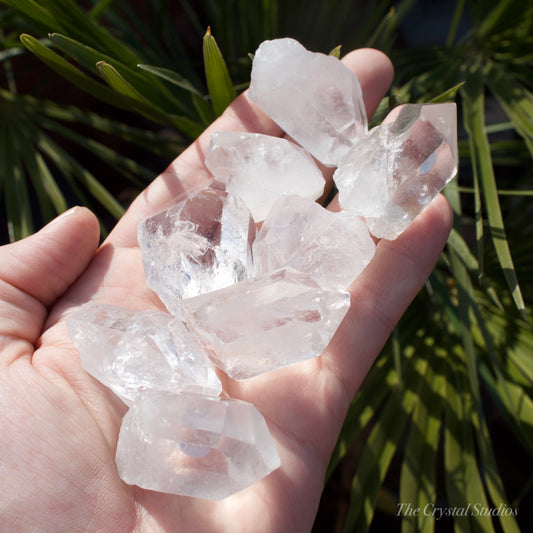 Clear Quartz Small Chubby Natural Crystal Points