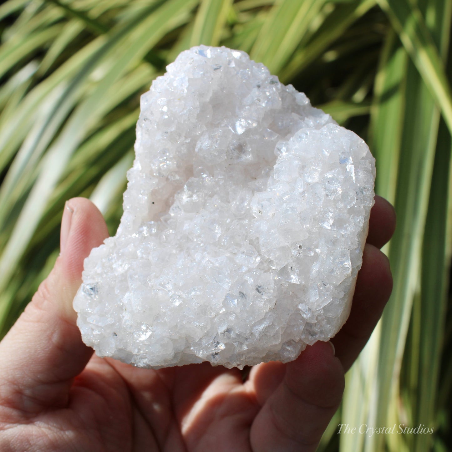 Pale Pink Apophyllite Natural Crystal Cluster